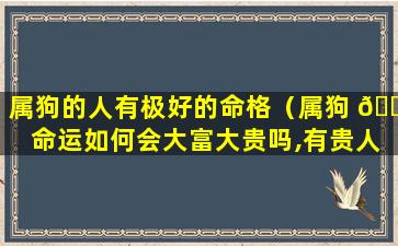 属狗的人有极好的命格（属狗 🌺 命运如何会大富大贵吗,有贵人相助吗）